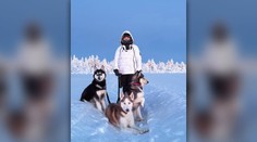 Slováci pracujú so záprahovými psami na severe Fínska. Prezradili, ako zvládajú extrémne teploty