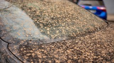 Saharský prach zasypal Slovensko. Vieme, kedy príde druhá vlna