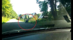 Nečakané stretnutie na prechádzke. V obývanej zóne sa stretli s medveďom