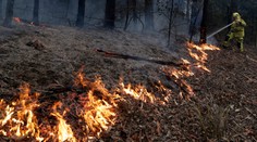 Požiare v austrálskom Novom Južnom Walese už zničili územie veľké ako Dánsko