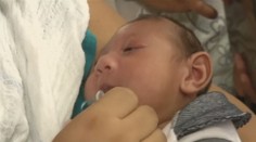 Európa má prvý prípad zika, Brazília z transfúzie krvi