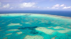 Šokujúca správa! Veľká koralová bariéra prišla o polovicu koralov