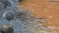Už vieme, čo zafarbilo rieku v Handlovej