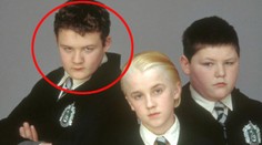 Z tučka je bojovník v klietke. Od hviezdy Harryho Pottera by ste dostať nechceli