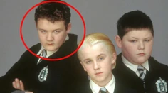 Z tučka je bojovník v klietke. Od hviezdy Harryho Pottera by ste dostať nechceli