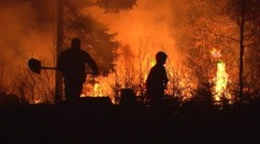 Sériu požiarov v Portugalsku má možno na svedomí chlapec (13)