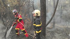 Takto bojujú s ohňom v Grécku slovenskí hasiči: Čelia problémom, s akými sa doteraz ani nestretli
