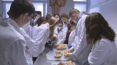 Termín na podávanie žiadostí o štipendium sa posunul. Najšikovnejší dostanú mesačne 300 eur