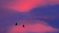 Rok 2016 bude zrejme najteplejším v histórii: Toto všetko spôsobil na planéte