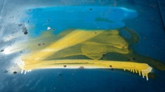 Prieskum, podľa ktorého si väčšina Slovákov želá víťazstvo Ruska, spôsobil rozruch. Toto sú najväčšie výčitky