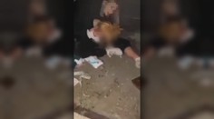 Posun v prípade zbitej školáčky v Miloslavove. Vyšetrovanie už uzavreli