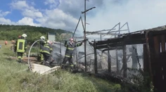 Chovateľ za pár minút prišiel o všetko, okrasné vtáky mu zhoreli pred očami