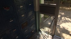 Na bratislavskom sídlisku vystrájal diviak. Narobil poriadnu spúšť