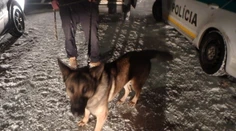 Bez vodičáku, s 5 promile ukradli psov: Polícia preveruje, či mali ísť na konzumáciu