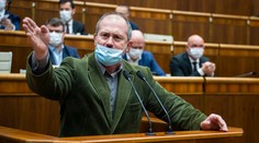 Mazurek a spol. sú k strane lojálni. K aktivitám Kotlebu už nie, tvrdí politologička