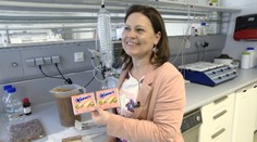 Slovensko zaťalo do živého: Legendárne napolitánky sú vraj druhotriedne