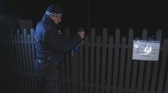 Na cintorín v Spišskej Novej Vsi sa zatúlal medveď. Zisťovali sme, prečo sa zobudil zo zimného spánku