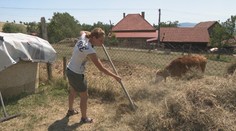 Milan a Lucia žili dlhé roky na farme, no tvrdá drina ich priviedla k vážnemu rozhodnutiu