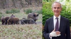 Na britského veľvyslanca zaútočili divé svine