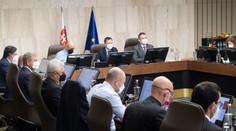 Vláda konečne poslúchla odborníkov. Nové opatrenia vítajú, cieľom už nemá byť zastavenie vírusu