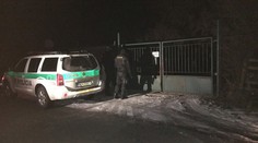 Ornitológa Petra (†34) vraj roztrhali psy