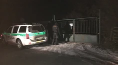 Ornitológa Petra (†34) vraj roztrhali psy