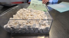 Používame ho pri bolesti alebo chrípke. Vedci ale varujú, má vážne nežiaduce účinky
