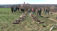 Masaker v lese. Poľovníkov čakal najhorší výjazd do terénu