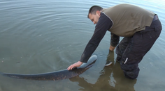 Rybárovi sa zastavilo srdce. Z vodnej nádrže vytiahol obra