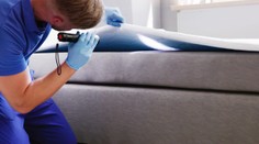 Našli ste si na posteli čierne bodky? Môžete mať doma nevítaných hostí, hovorí deratizér