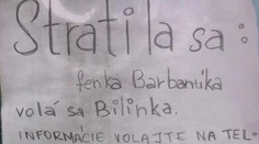 V Bratislave sa hľadá pes: Na stĺpe sa objavil originálny plagát