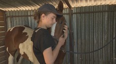 Pre aspergerov syndróm trpel depresiami a trávil čas len pri počítači. Mladého Andreja nakoniec zachránili kone