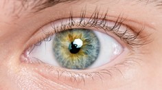 Vedci zachytili prvý náznak Parkinsonovej choroby. Objaví sa sedem rokov pred jej vypuknutím