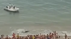 Panika na pláži v Španielsku. Ľudí vyhnal z vody viac ako dvojmetrový žralok