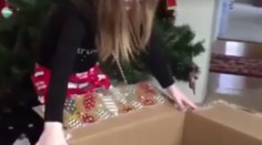 Dievčatko si našlo pod stromčekom prázdnu škatuľu. Nevšimlo si, že jej "darček" ušiel