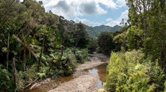 V kopcoch Nového Zélandu našli telo mladej Češky. Polícia už vie, čo bolo príčinou smrti, no nepozná okolnosti