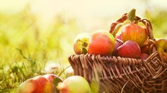 Neuveríte, ale po jablkách budete mať belšie zuby