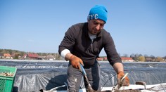 Personalisti majú riešenie pre ľudí, ktorí pre koronavírus nemajú prácu