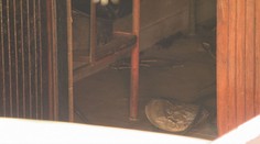 Výbuch v garáži pri upratovaní. Svedkovia opisujú incident, ktorý vydesil ľudí v Trnave