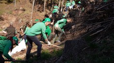 Zacvičili si a ešte aj pomohli životnému prostrediu. Desiatky dobrovoľníkov zasadilo tisícky stromov