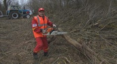 Pilčík Dezider (91) celý život ťažko pracoval, ani na staré kolená neplánuje prestať