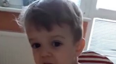 Má iba dva roky a už pobláznil internet: Pozrite si, ako malý chlapec zarecitoval Mor ho!