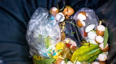 Slováci a plytvanie jedlom: Toto sú potraviny, ktoré najčastejšie vyhadzujeme