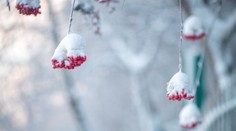V nedeľu cez deň môže pocitová teplota dosiahnuť až – 15 °C. SHMÚ zverejnil, kde bude najchladnejšie