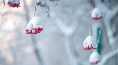 V nedeľu cez deň môže pocitová teplota dosiahnuť až – 15 °C. SHMÚ zverejnil, kde bude najchladnejšie