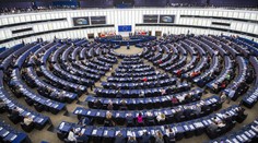 Slovenským europoslancom sa končia časy s kráľovskými platmi. Opýtali sme sa, čo sa im za volebné obdobie podarilo presadiť