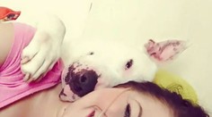 Odmietla liečbu a zverejnila poslednú foto. Radšej budem anjelom