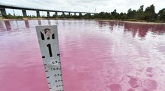 Austrálske jazero zmenilo farbu na sýtoružovú. Môže za to sezónny jav