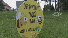 Niektoré mestá sa rozhodli nekosiť vybrané lokality. Nie všetkým sa to páči