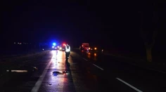 Zastala na krajnici a vošla na cestu. Kamionista sa jej vyhol, no vzápätí ju zrazil iný vodič. Nehodu neprežila